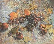 Vincent Van Gogh Still life with Grapes,Apples,Pear and Lemons (nn040 Spain oil painting artist